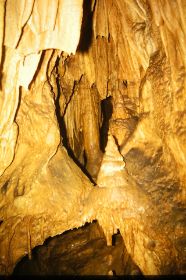 Diascan 003 23.02.2013 213.JPG