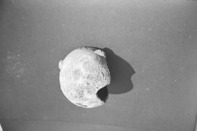 Diascan 002 22.02.2013 027.JPG